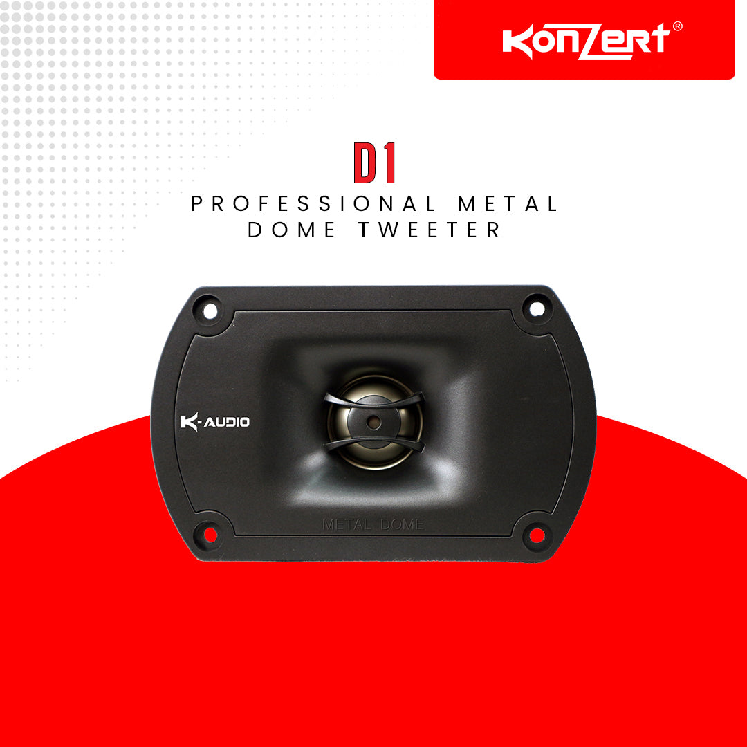 D1 – Konzert Philippines