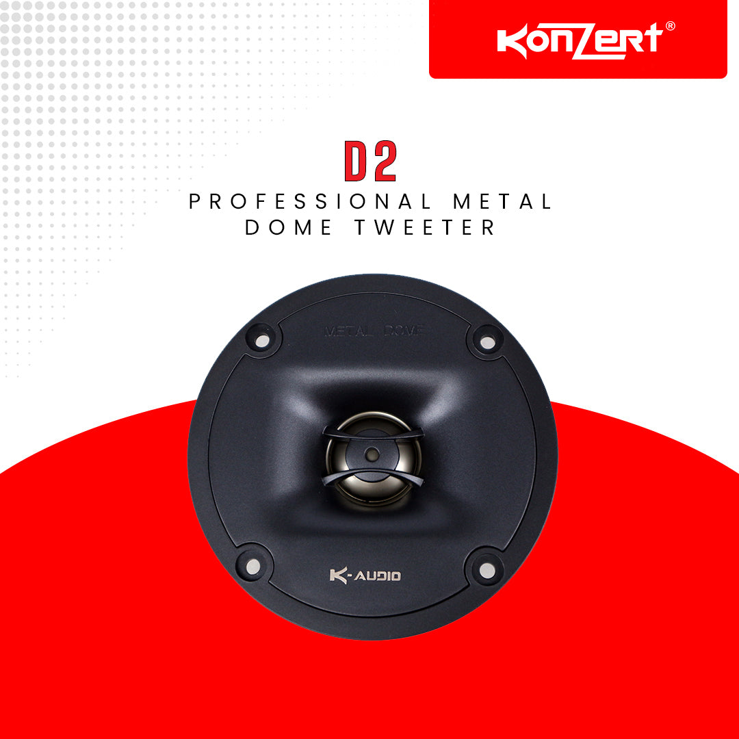 D2 – Konzert Philippines