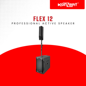 FLEX 12 – Konzert Philippines - Main Image
